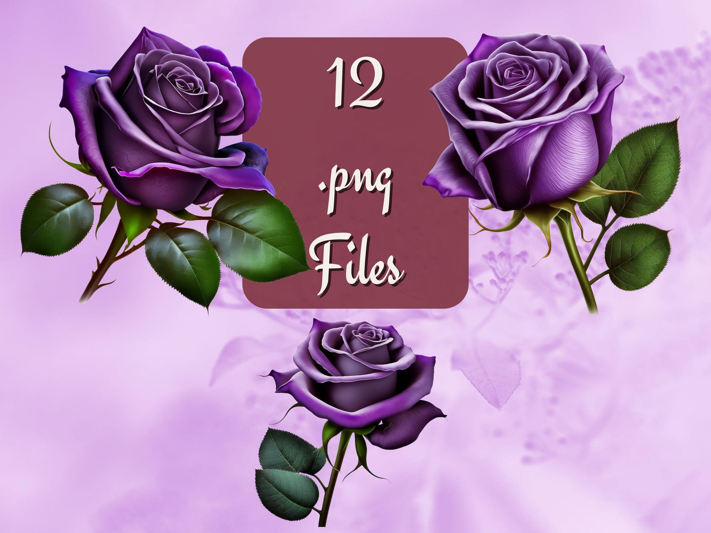 12 x Beautiful Purple Rose Clipart Bundle